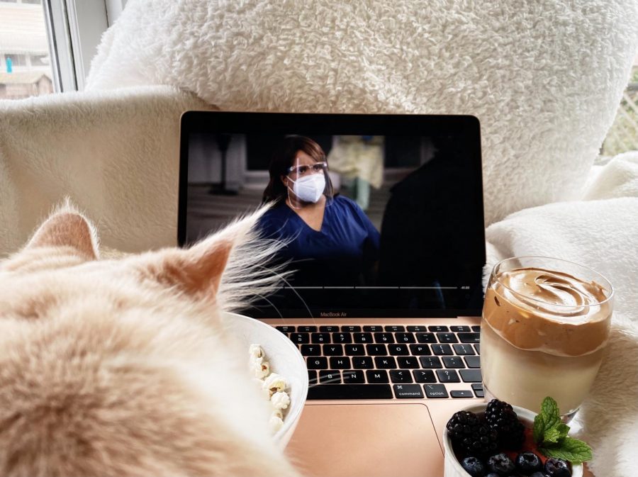 Grab snacks and pets while catching up on the newest season of Grey’s Anatomy
