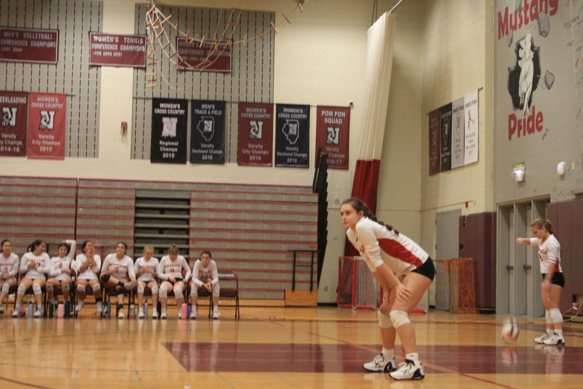 Volleyball Game