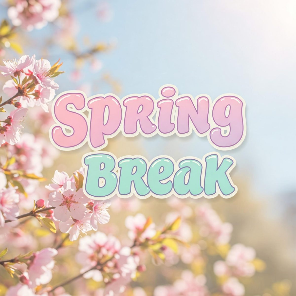 How I Spent My Spring Break