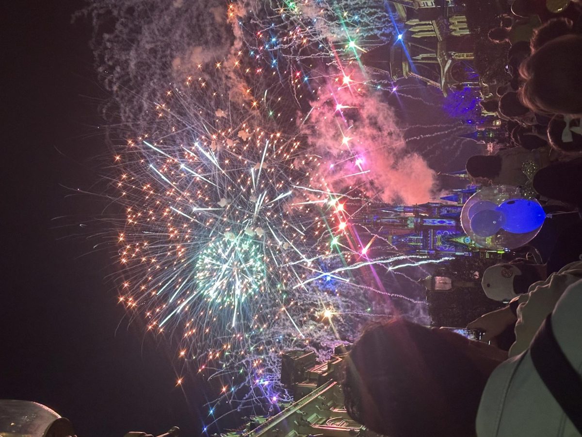 Stunning fireworks display 
