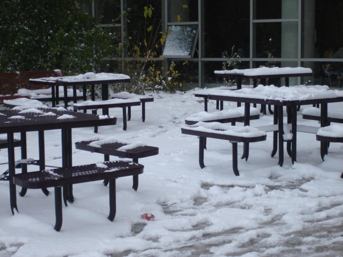 Lunch tables covered in snow