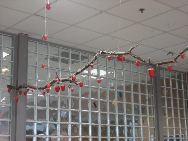 Hanging Strawberry Branch Taken by Malia Siharath