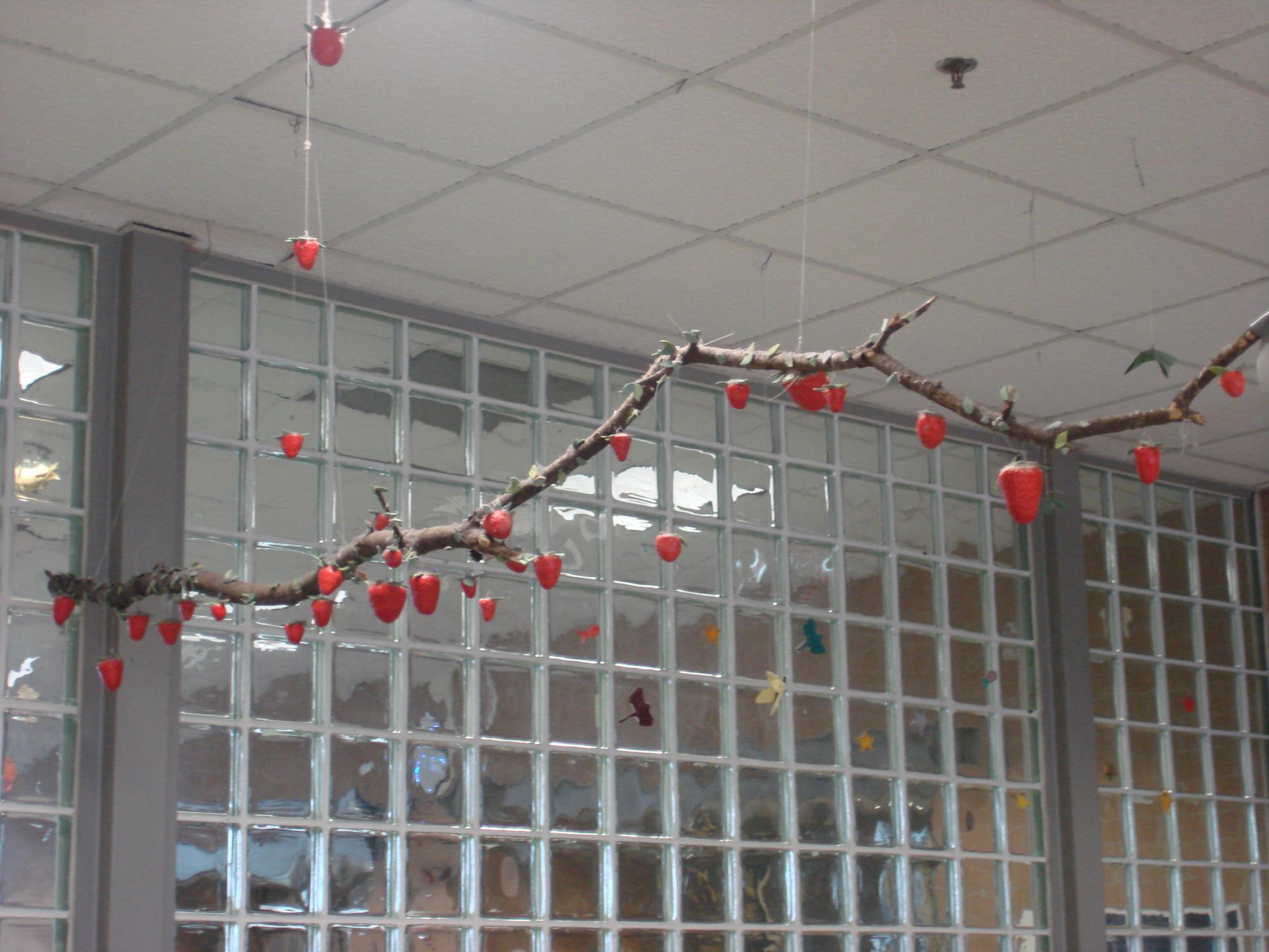Hanging Strawberry Branch Taken by Malia Siharath