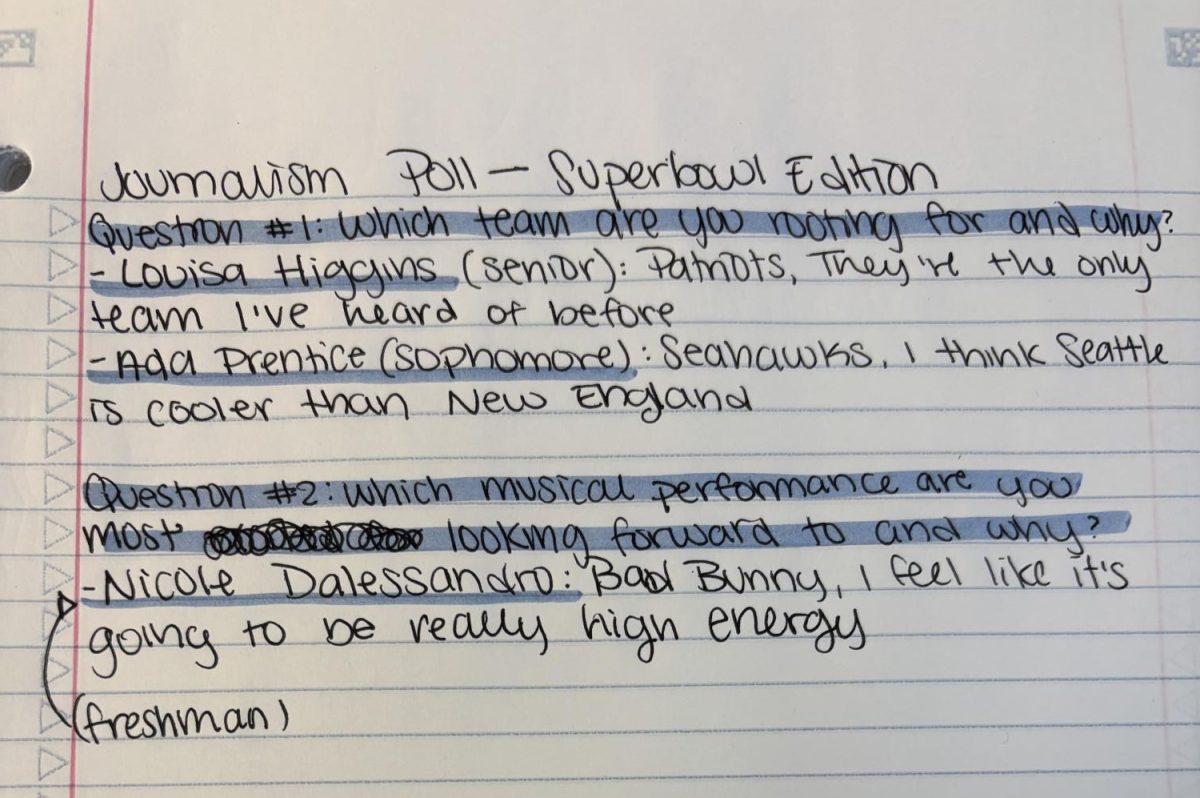Journalism Assignment --- Superbowl Feedback